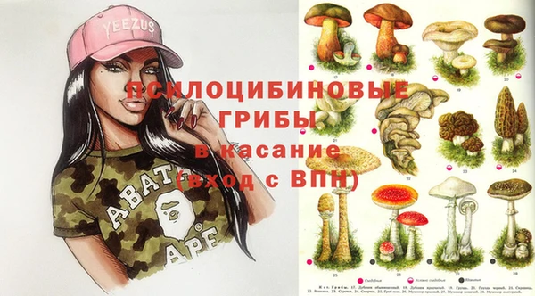 кокс Алексин