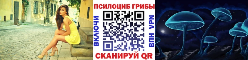 Псилоцибиновые грибы Cubensis  купить  сайты  Тосно 